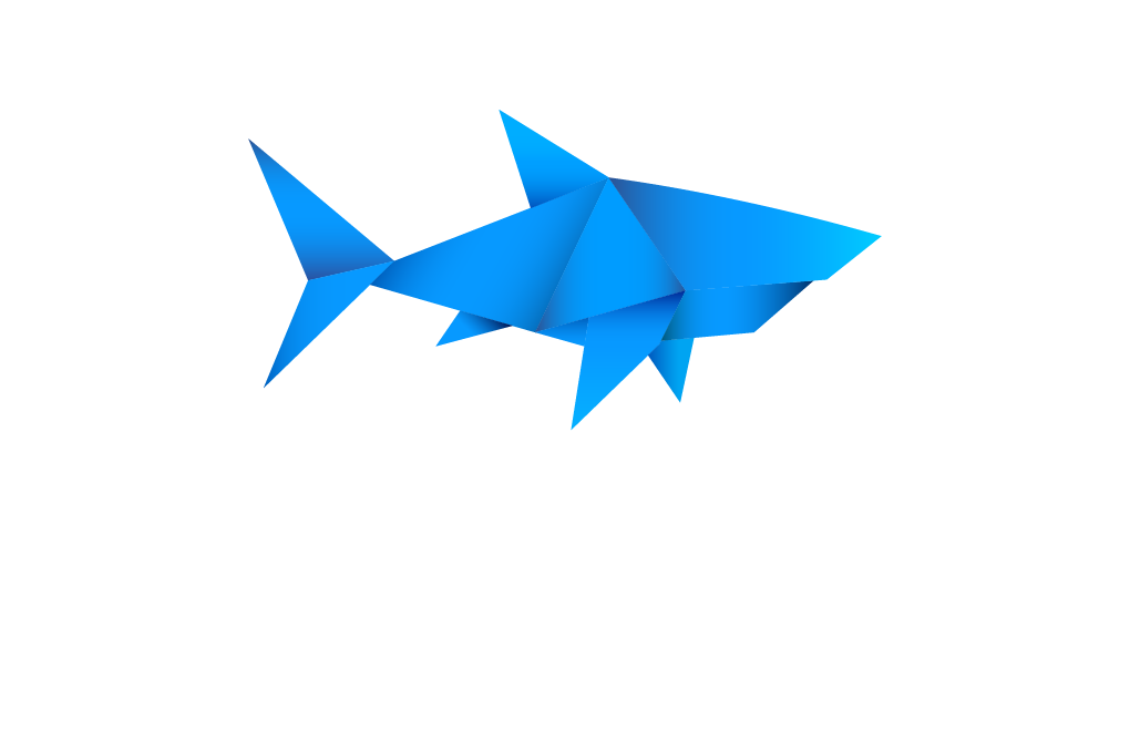 NEMO combination logo